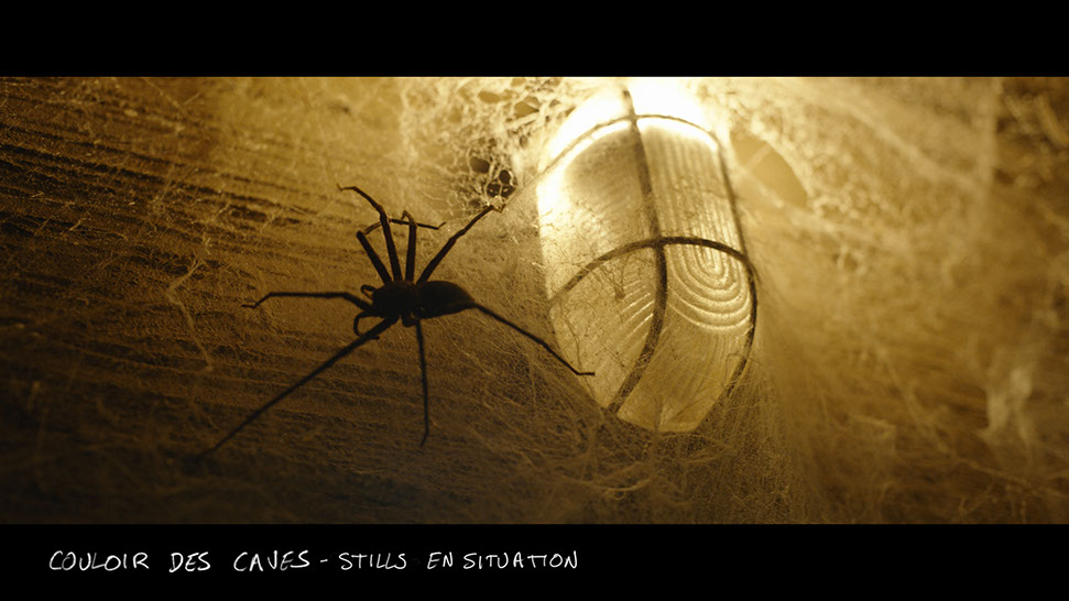 stills du décor en studio du film vermines réalisé par sebastien vanicek - de véritables d'araignées dans le décor du couloir des caves